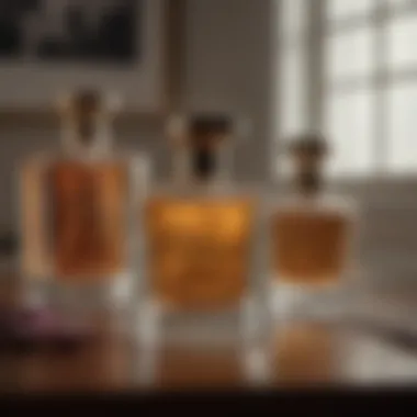 A beautifully arranged collection of classic perfume bottles