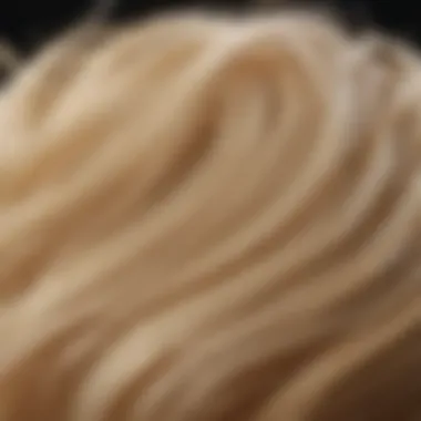 Selection of blonde hair dye products