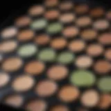 Close-up of vibrant concealer palette showcasing green and skin-tone shades