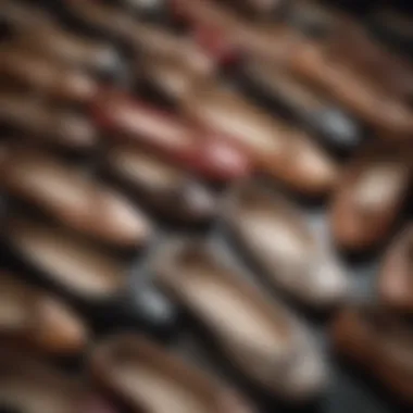 Various styles of leather ballet shoes arranged elegantly