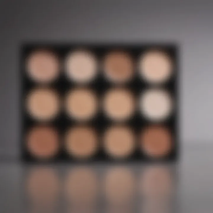 A close-up of a concealer palette with various shades