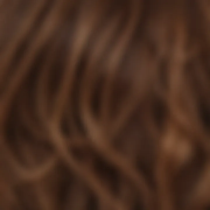 A close-up of hair strands displaying the richness of color achieved through toner application.