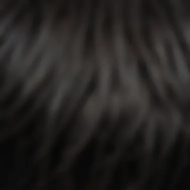 Close-up of hair strands in black color under natural light.