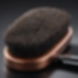 Close-up of ionic hair straightener brush showcasing bristles and heated surface