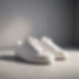 Elegant white canvas sneakers displayed on a minimalist background