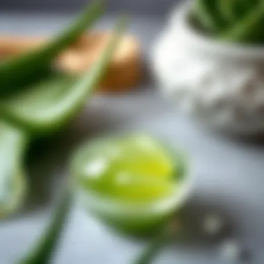 A bowl of aloe vera gel for skincare application