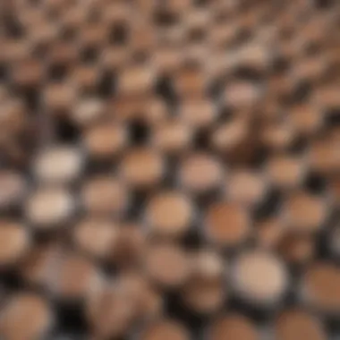 Shade Range of Eye Concealers Swatches of different eye concealer shades on skin