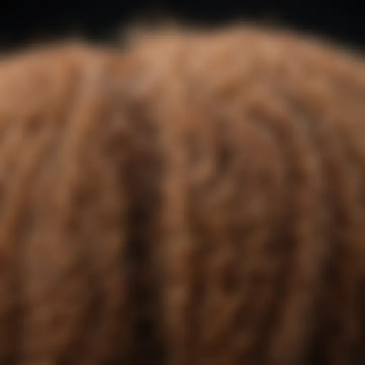 Close-up of hair strands demonstrating frizz and smoothness comparison