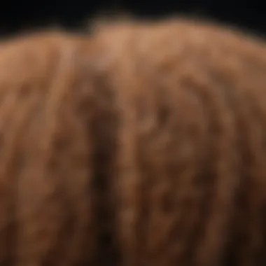 Frizz vs. Smooth: A Hair Strand Analysis Close-up of hair strands demonstrating frizz and smoothness comparison