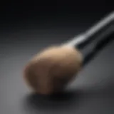 Close-up view of a demi brush showcasing its fine bristles and ergonomic handle.