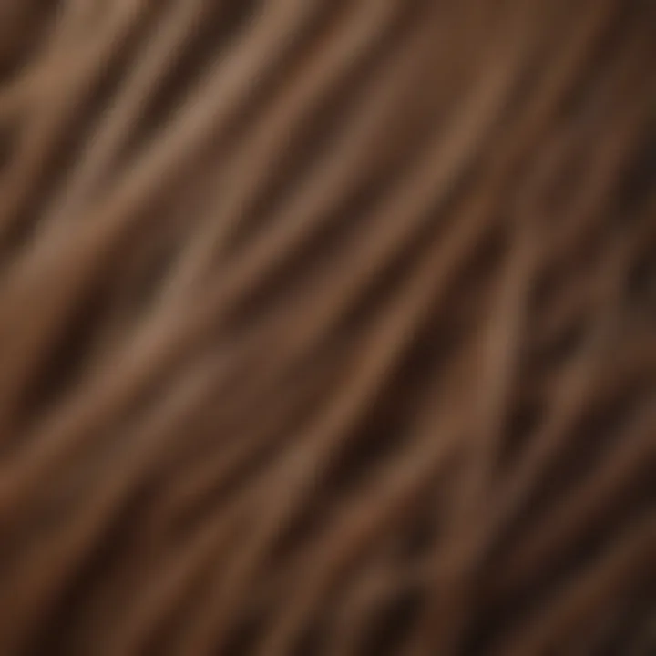 Close-up of hair strands after using the ion thickening styler