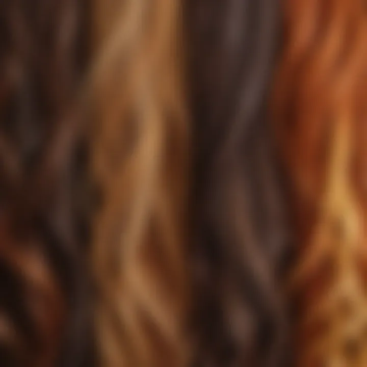 Close-up of hair strands with different color shades