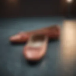 Elegant ballet flats in various colors