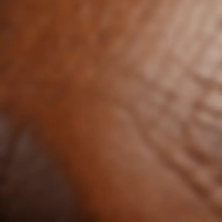 Close-up view of high-quality leather texture