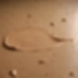 Close-up of liquid foundation texture on a palette.