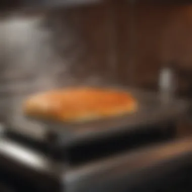 Close-up of food being perfectly heated by the Glo Ray warmer