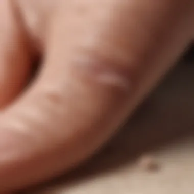 Common Causes of Toenail Damage Visual guide illustrating common causes of toenail damage