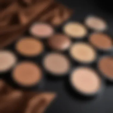 Palette featuring bronzing powders suited for different skin tones