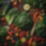 A vibrant assortment of anti-inflammatory foods including leafy greens and colorful vegetables