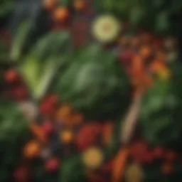 A vibrant assortment of anti-inflammatory foods including leafy greens and colorful vegetables