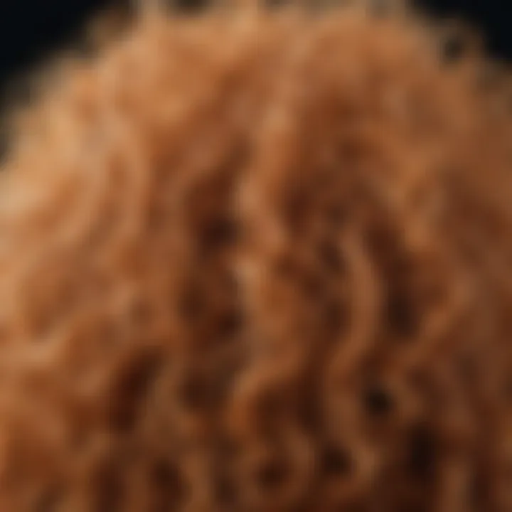 Close-up of hair strands showcasing frizz and color treatment.