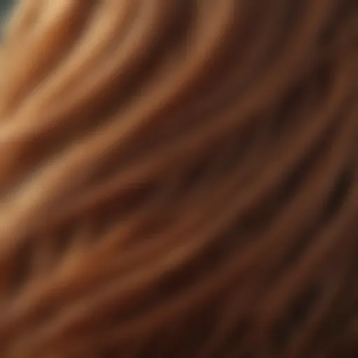 A close-up view of vibrant, thick hair strands basking in natural sunlight.