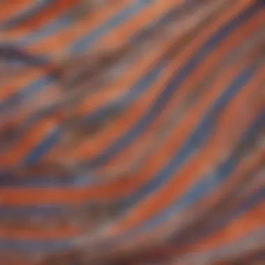 A close-up of fabric textures and patterns on bathing suits