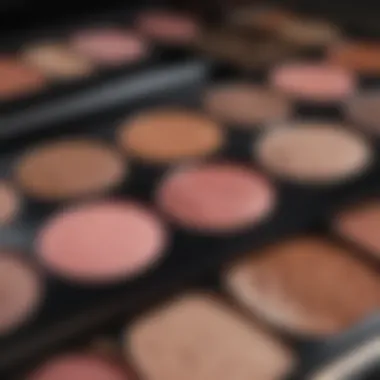 Close-up of a blush palette suitable for brunette skin