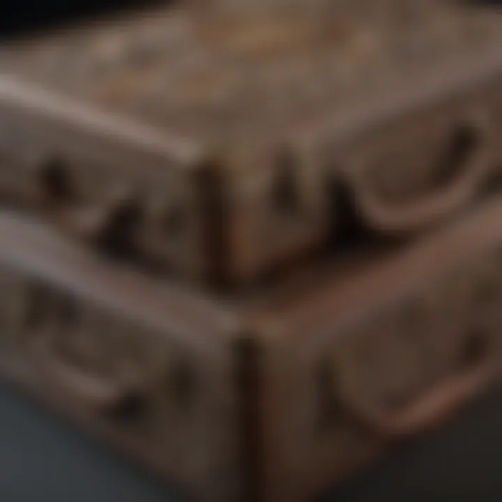 Close-up of the intricate details of a nesting suitcase set