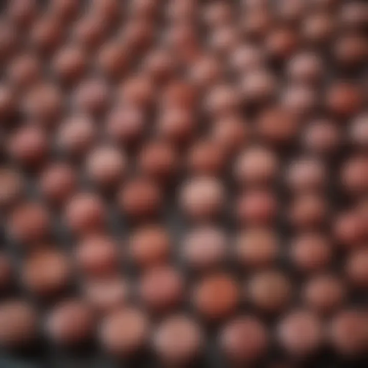 Diverse array of lip products laid out, focusing on formulation types and finishes.