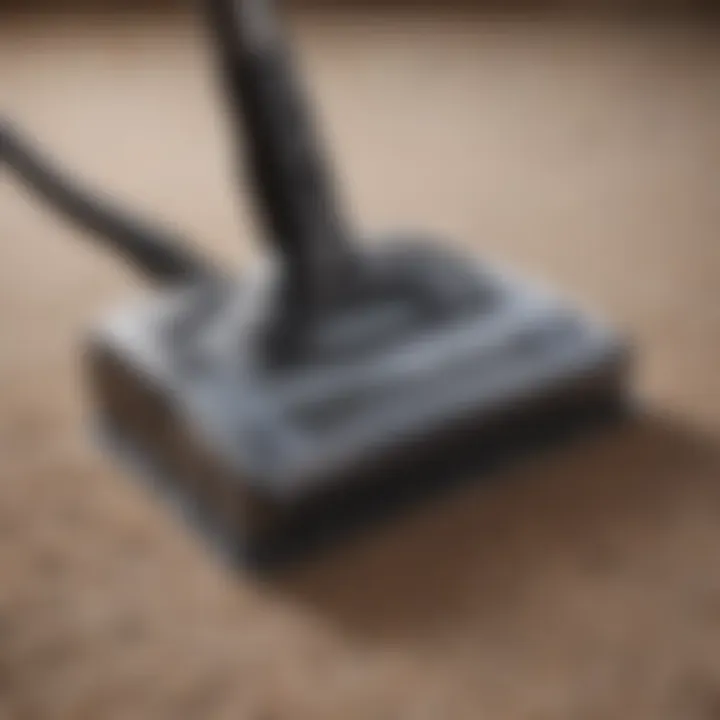 Close-up of a vacuum cleaner's brush design, highlighting its effectiveness on carpets.