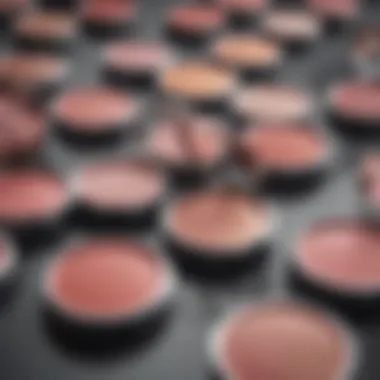 An artistic arrangement of blush compacts showcasing color variety