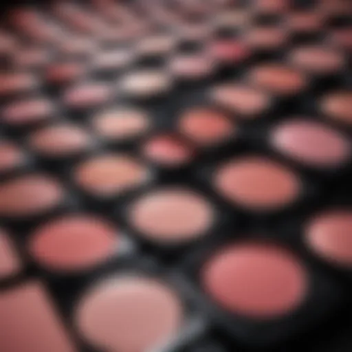 A vibrant display of various blush shades in elegant packaging