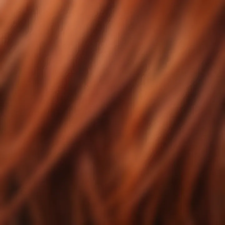 Close-up of hair strands showcasing bright color application