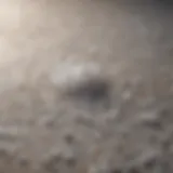 Natural sea salt scattered on a textured surface