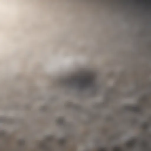 Natural sea salt scattered on a textured surface